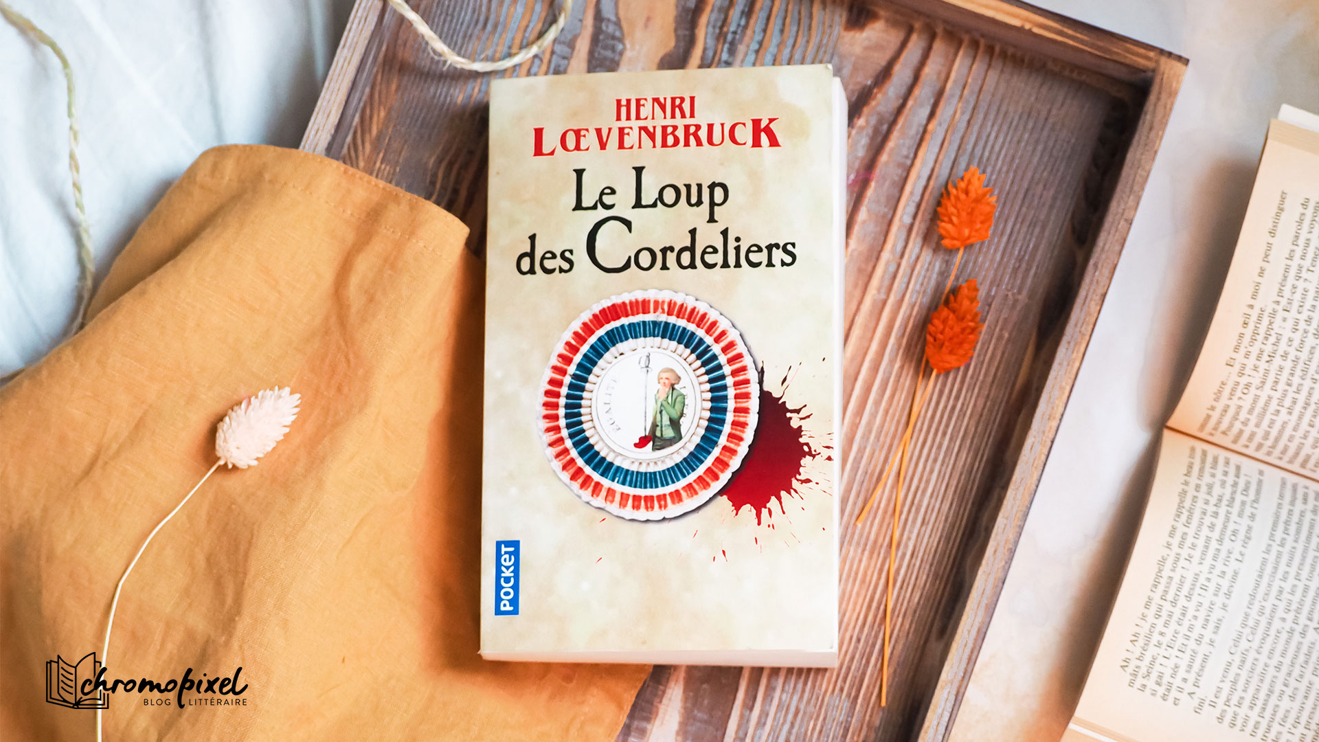 Le Loup des Cordeliers : enquête au cœur de la Révolution - Chromopixel